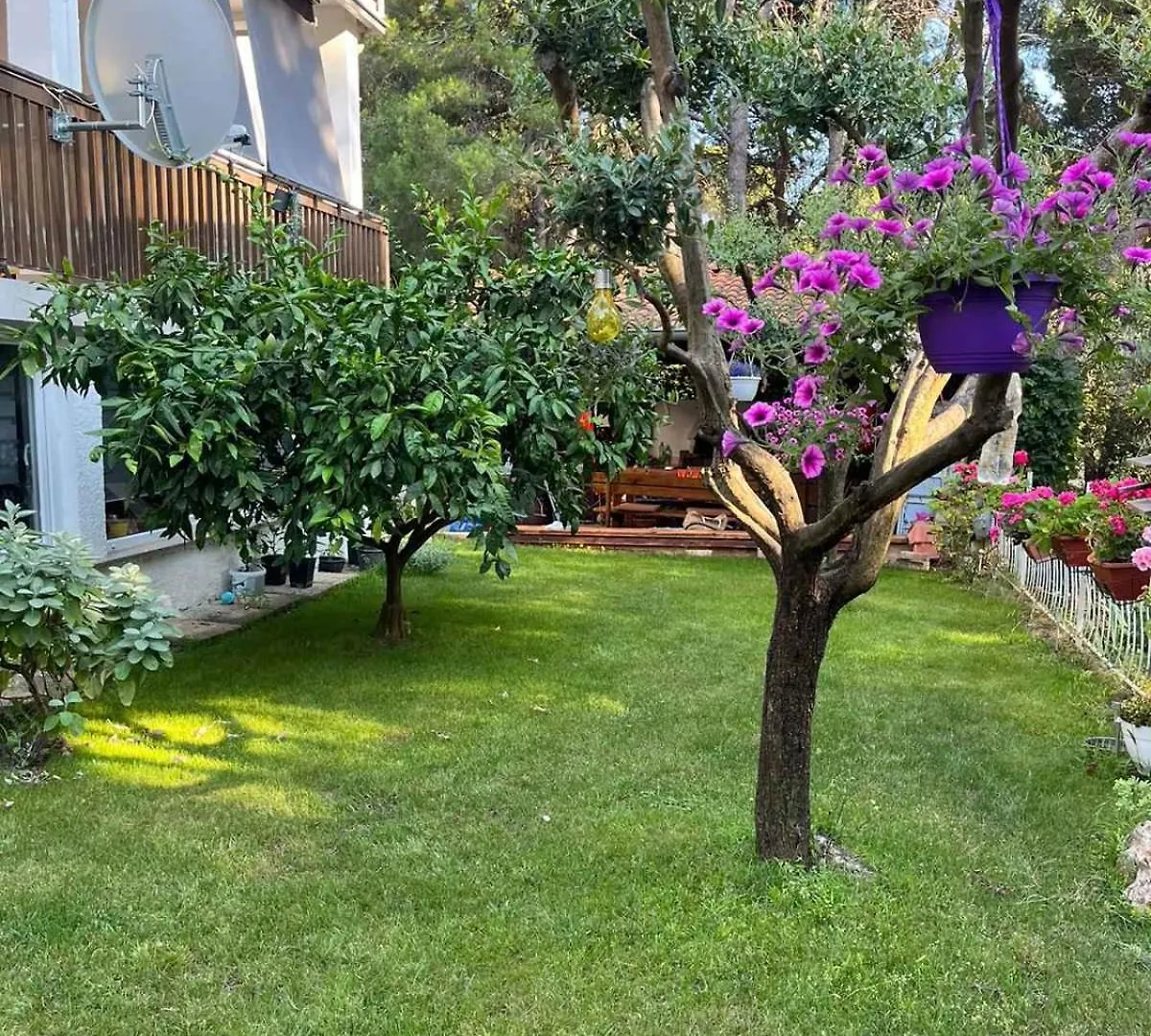 Apartment In Pula - Istrien 42563